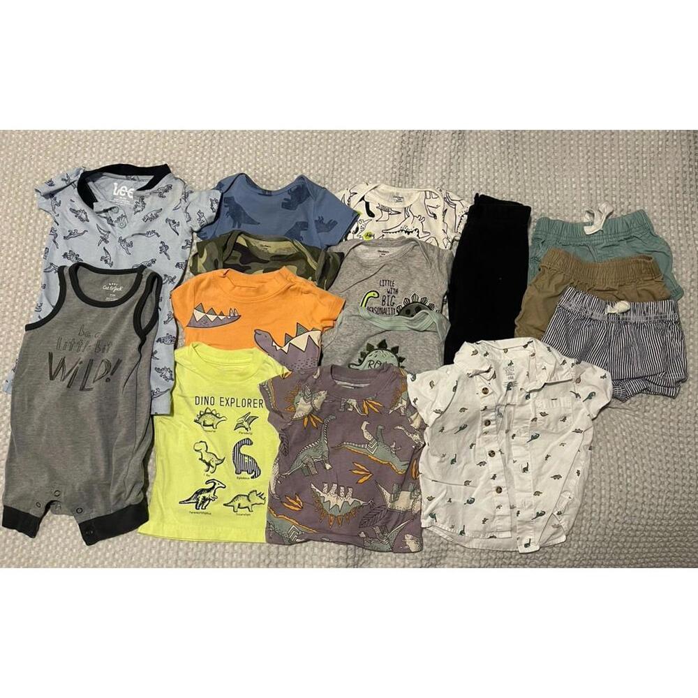 Dinosaur 6m Baby Boy 15 piece Bundle